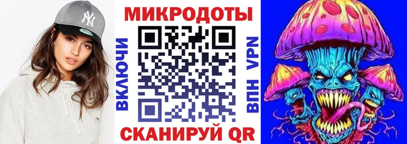 Купить закладки  Новоузенск  Галлюциногенные грибы Psilocybe 